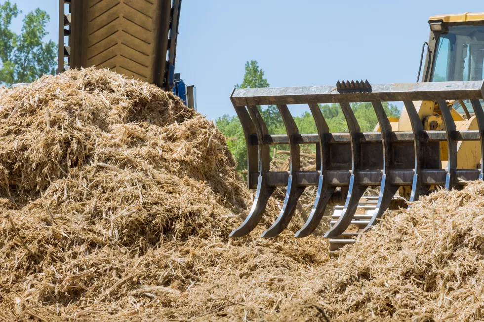 scenic-view-field-against-sky