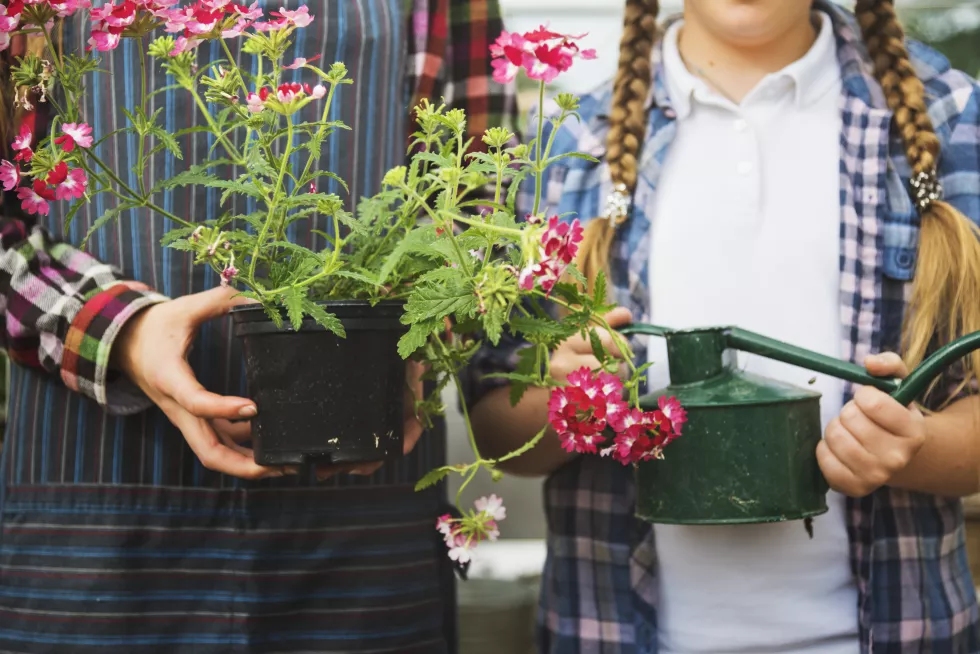 cultivate-garden-nature-seasonal-growth-concept-2