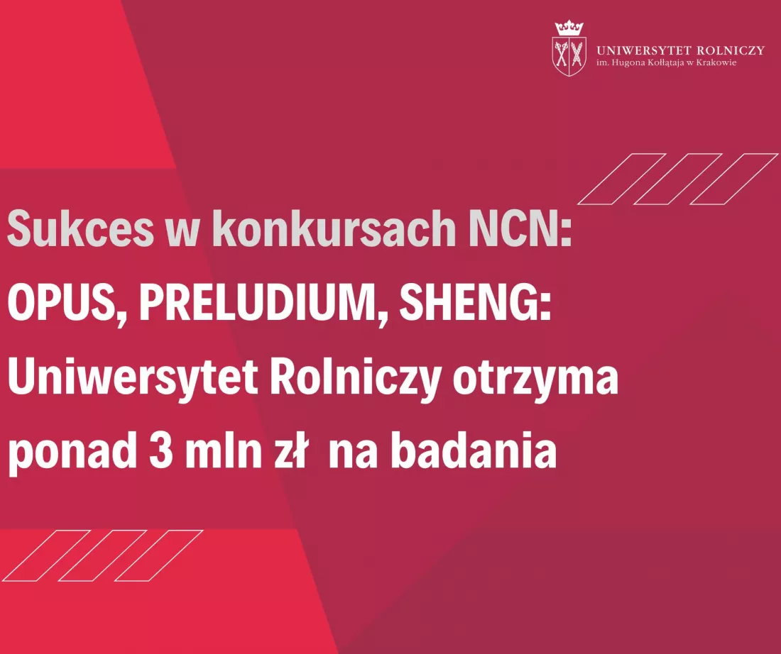593865129_1319069803598947_7850379002302974232_n