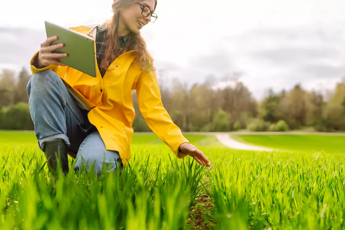 innovative-smart-farm-system-technology-agricultural-management-farmer-with-tablet-green-field
