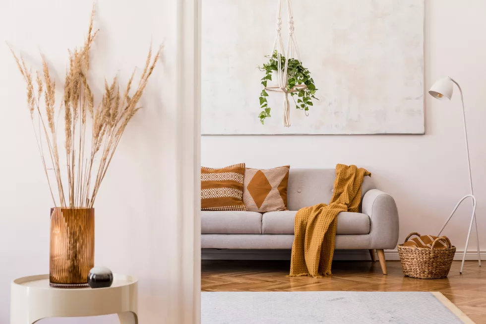 stylish-composition-creative-spacious-apartment-interior-with-grey-sofa-coffee-table-plants-carpet-beautiful-accessories-white-walls-parquet-floor