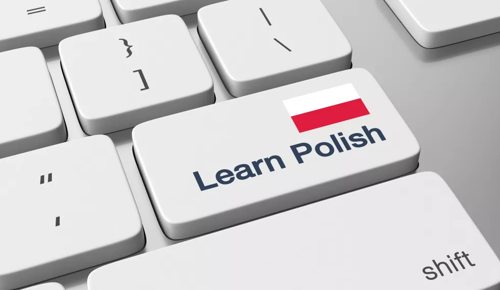 learn-polish-online