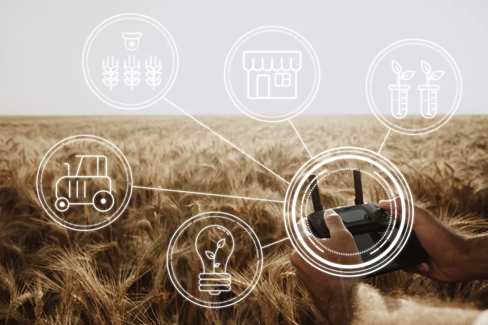 man-farmer-standing-wheat-field-controlling-drone-close-up-technologies-agriculture-concept