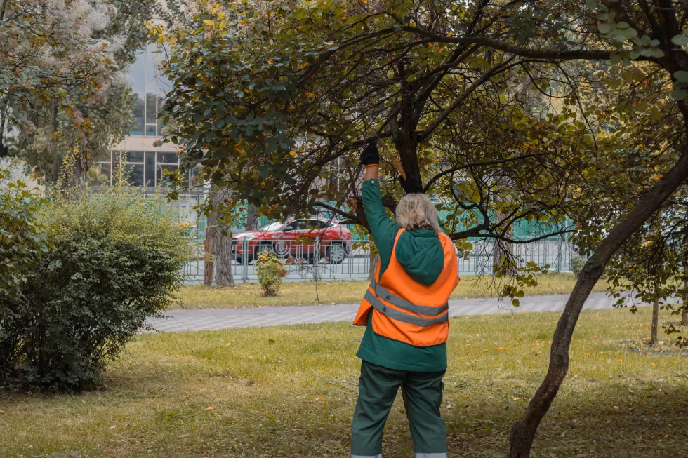woman-gardener-cuts-branches-with-hand-saw-garden