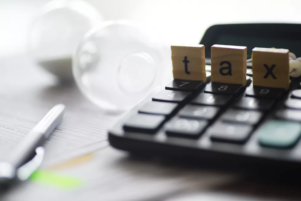 closeup-withered-plant-tranquil-natural-landscape-winter-day