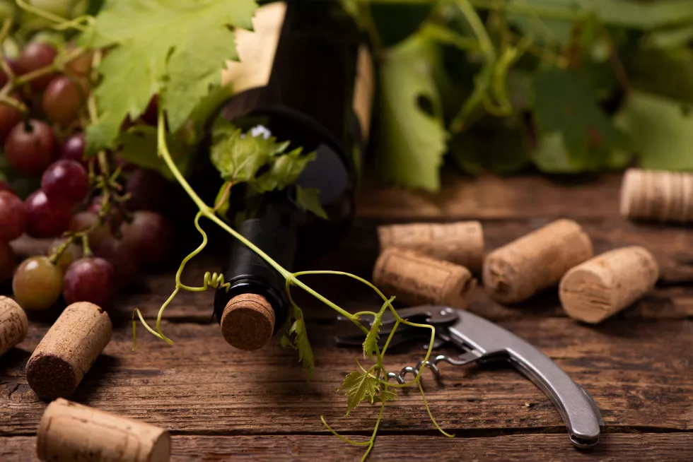 bottle-red-wine-wooden-table