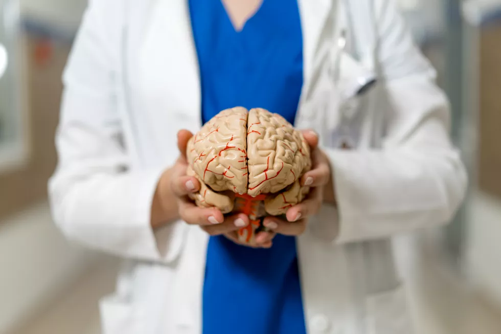 medical-professional-holding-human-brain-model-hospital-setting-health-worker-scrubs-presents-detailed-brain-model-while-standing-clinical-environment