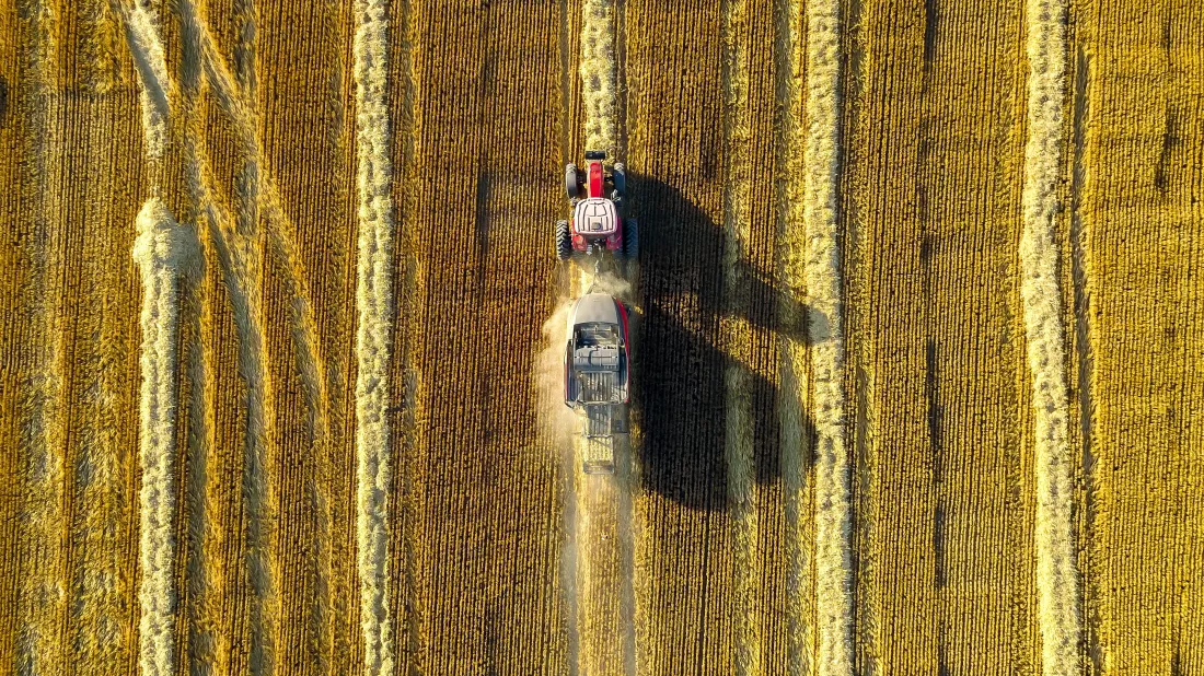 high-angle-view-agricultural-field