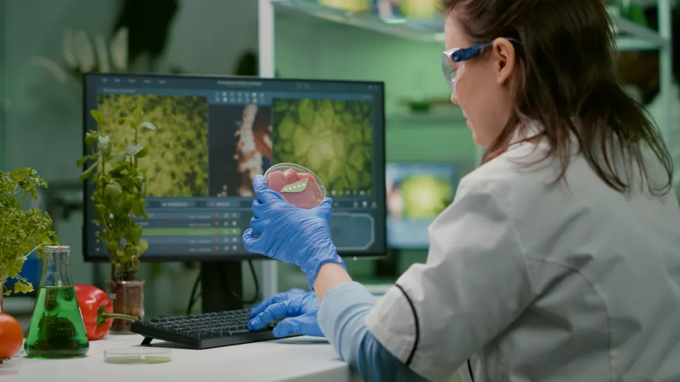 woman-using-mobile-phone-table