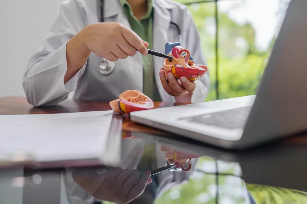 cardiology-consultation-treatment-heart-disease-doctor-cardiologist-while-consultation-showing-anatomical-model-laptop-online-consultation