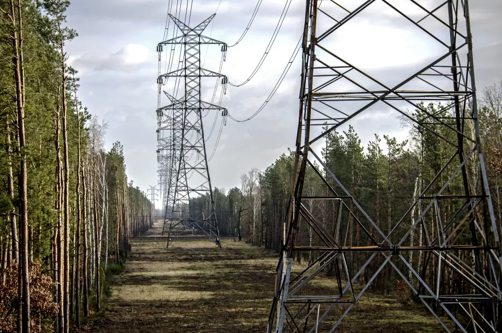 no-humans-outdoors-scenery-cloud-sky-tree-nature-power-lines-forest-day-cloudy-sky