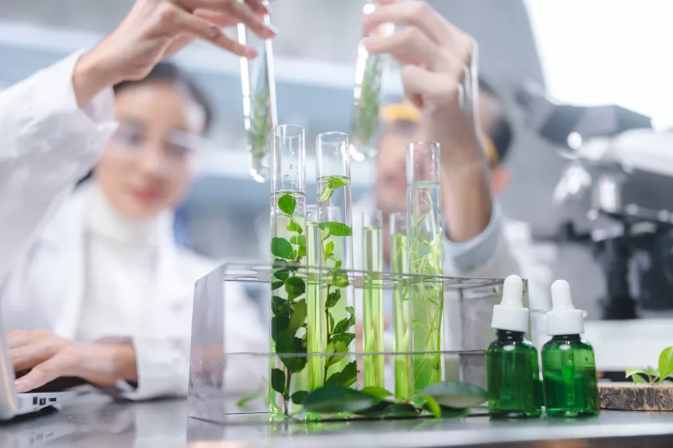 eco-skin-care-beauty-products-laboratory-development-concept-natural-drug-research