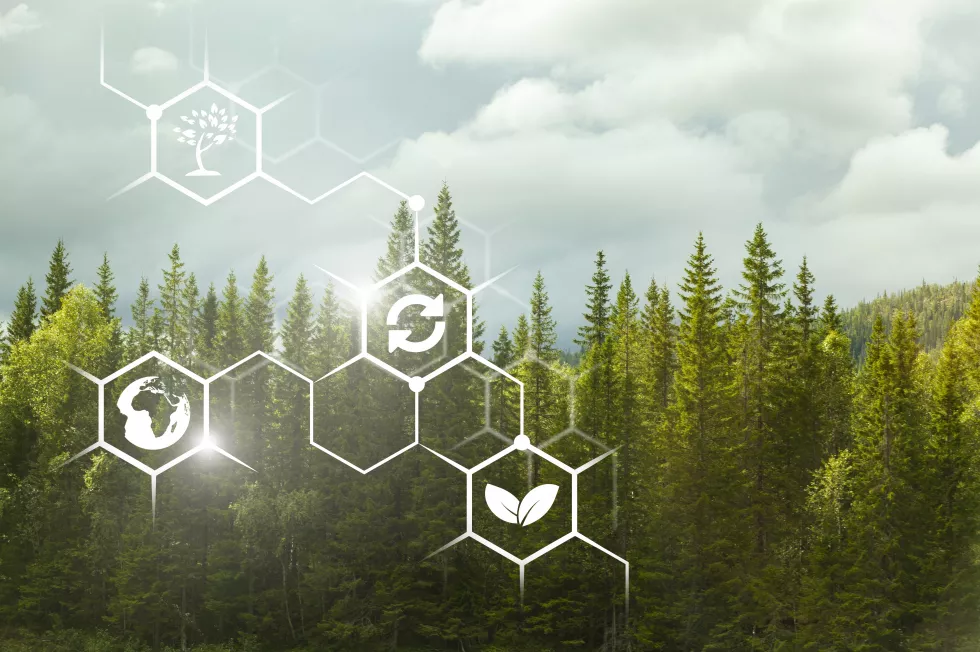 natural-green-plants-with-biochemistry-structure-illustration