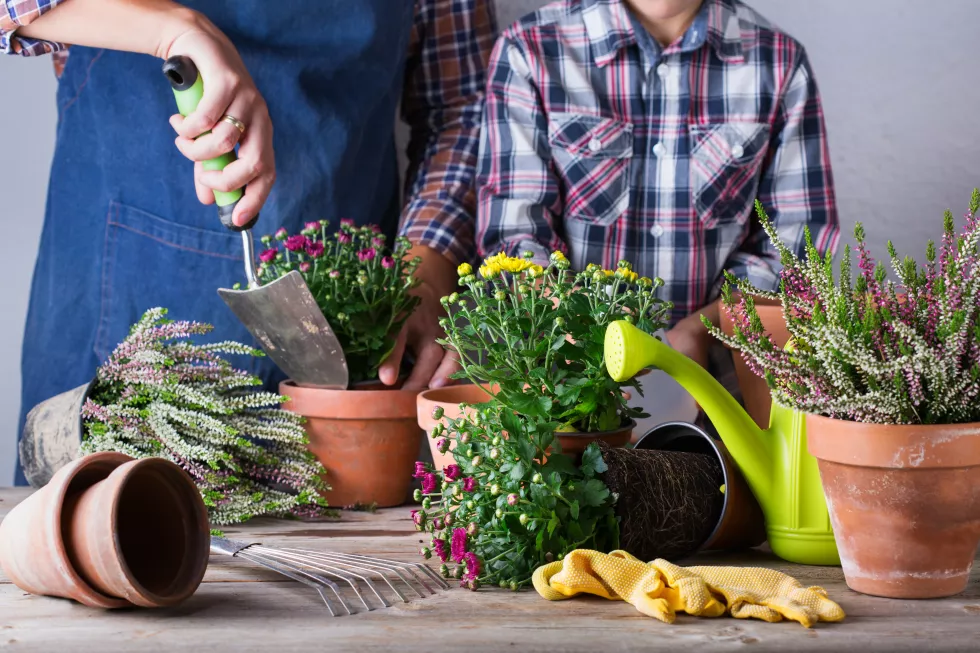 gardening-man-father-boy-kid-staying-home