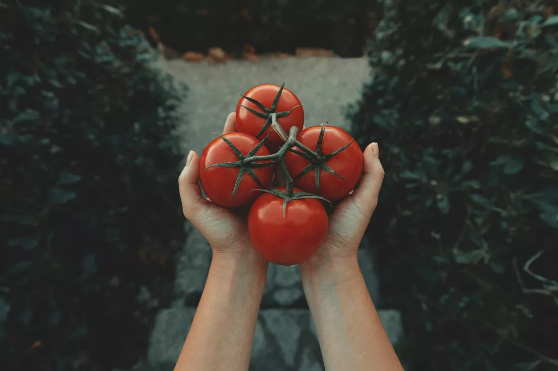 clay-banks-s-hw64ghWEA-unsplash