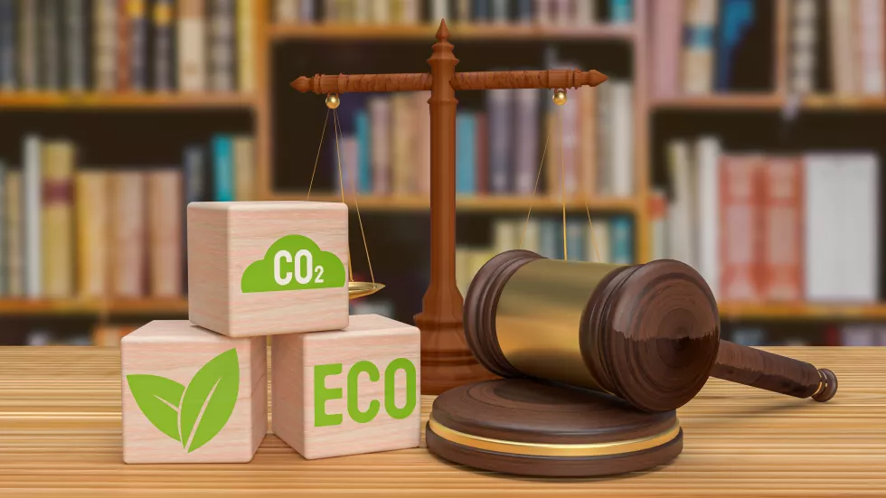 environmental-law-is-legal-field-that-encompasses-wide-range-regulations-statutes-treaties-policies-designed-address-environmental-issues-protect-natural-world