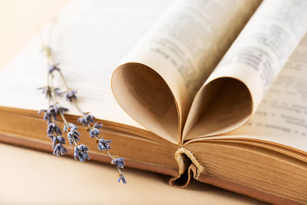 open-book-with-heart-shaped-pages-lavender-flowers-education-learning-study-culture